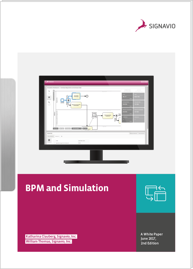 白皮书BPM模拟en
